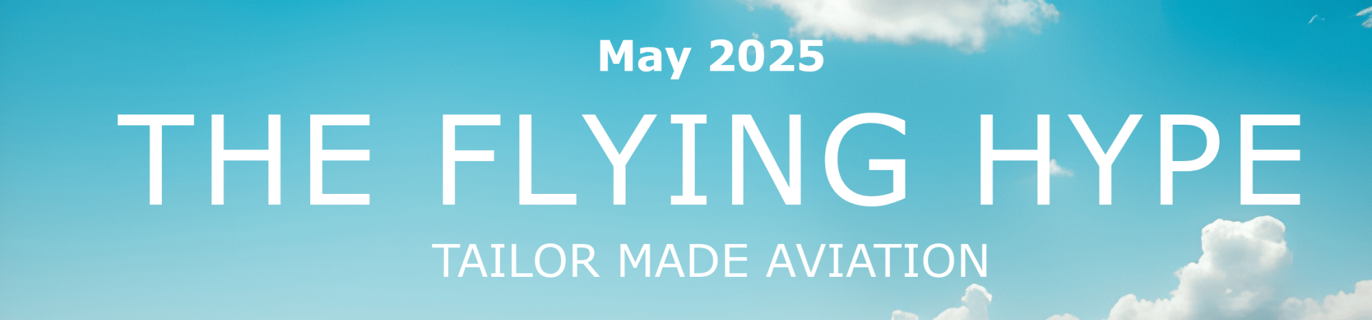 Flying Hype Banner Flying Hype Banner